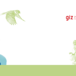 NEW GIZ GENDER STRATEGY Background